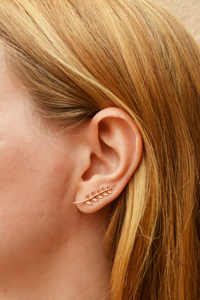 Rose Gold Climber Earrings